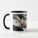 Search for seabird mugs Beak