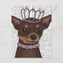 Search for chihuahua postcards Animals