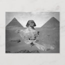 Search for sphinx postcards Vintage