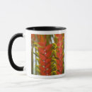 Search for vendor mugs Brazil