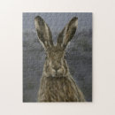Search for a wild hare Wildlife