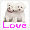 Search for bichon frise stickers Puppies