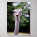 Search for funny camera posters Humour