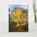 Search for ginkgo cards Autumn