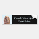 Search for setter bumper stickers Irish