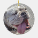 Search for hot dogs christmas tree decorations Funny