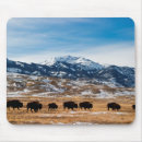 Search for a bison electronics Landscape