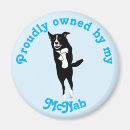 Search for leaping magnets Funny