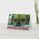 Search for puggle postcards Beagle