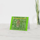 Search for critter cards Chipmunk
