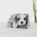Search for cavalier cards Animal