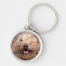 Search for attitude round key rings Confidence