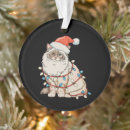 Search for ragdoll cat christmas tree decorations Funny