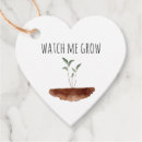 Search for watch me grow favour tags Plant