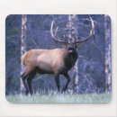 Search for bugle mousepads Elk