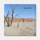 Search for namibia magnets Desert