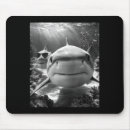 Search for shark mousepads Animal