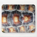 Search for tortoises mousepads Shell