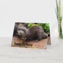 Search for otter birthday cards Wildlife