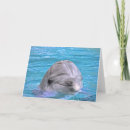 Search for bottlenose cards Ocean