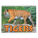 Search for tiger calendars Cat