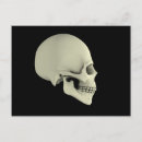 Search for frontal view Medicine