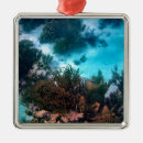 Search for coral christmas tree decorations Underwater
