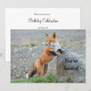 Search for stands invitations Animal