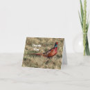 Search for pheasant cards Ring necked pheasant
