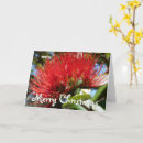 Search for new zealand christmas cards Kiwi
