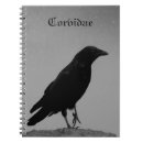 Search for corvidae Crow