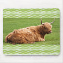 Search for moo electronics Highland
