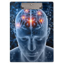 Search for brain clipboards Anatomy
