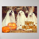 Search for cute halloween posters Pet