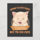 Search for be fierce postcards Animals