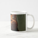 Search for cat cafe mugs Catlover