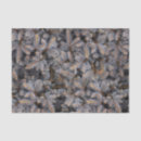 Search for pine tree tissue paper Forest