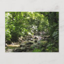 Search for habit postcards French