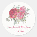 Search for protea stickers Watercolor