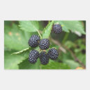 Search for juicy fruit stickers Sweet