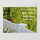 Search for cardinal sympathy cards Nature