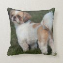 Search for shih tzu cushions Pet
