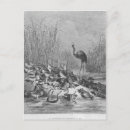 Search for morality postcards Animal