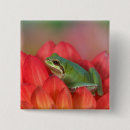 Search for green tree frog badges Washington