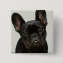 Search for one shot badges Photography