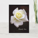 Search for white flowers sympathy thank you cards Elegant