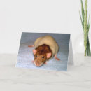 Search for dumbo cards Cute