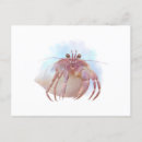 Search for cute crab postcards Ocean