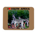 Search for zebra heart Wildlife
