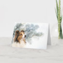 Search for sable cards Sheltie